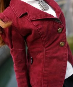D2 Post Apocalyptic Uniform (Wine Red)